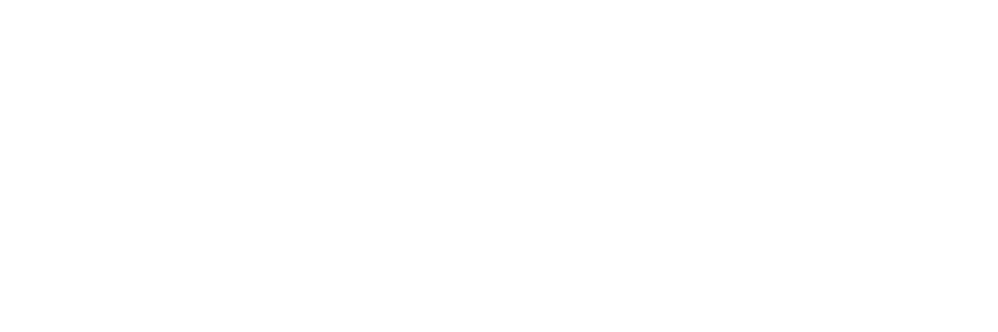 Coca Cola logo white